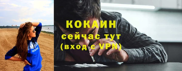 гидра Белокуриха