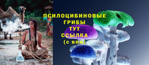 гидра Белокуриха