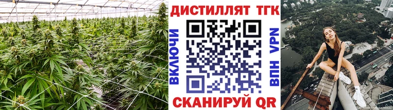 Дистиллят ТГК жижа  Купить  Сафоново 