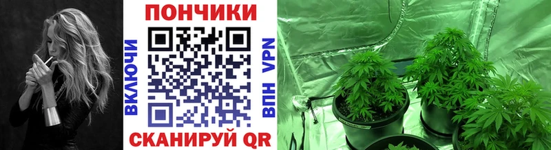 Купить  Сафоново  Марихуана тримм 